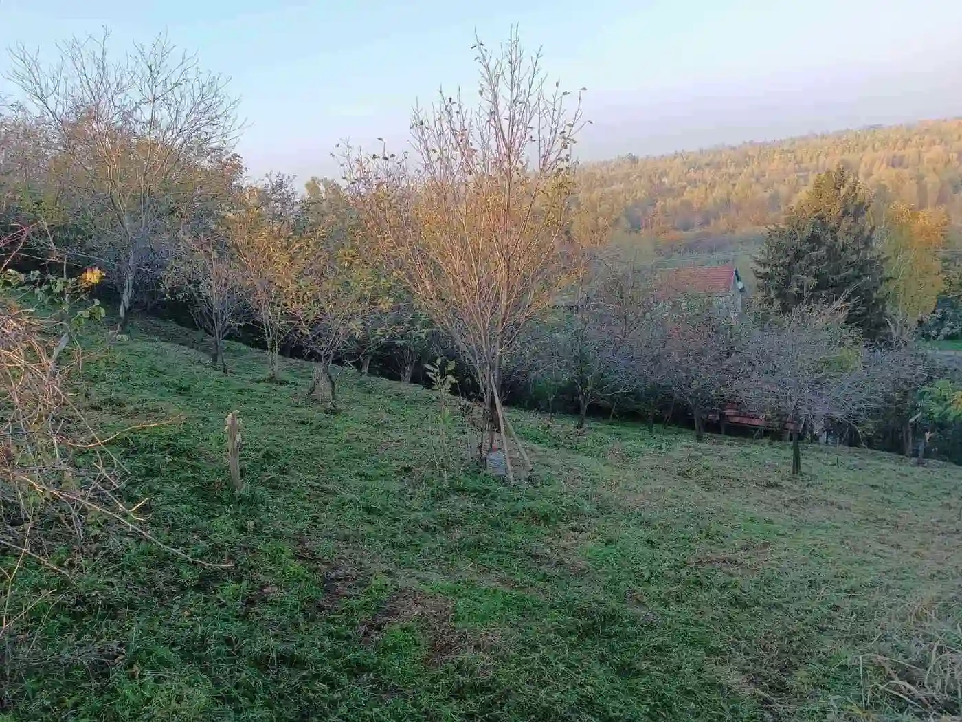 kuca na prodaju Susek 115m2 537017