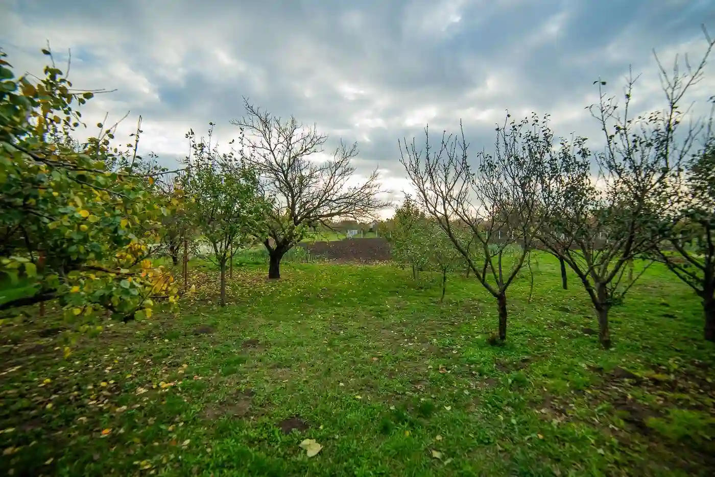 kuca na prodaju Ravno Selo 134m2 537161