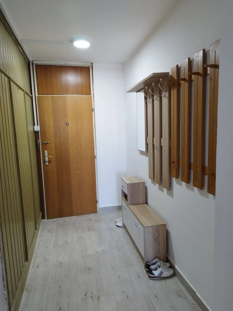 stan na prodaju Novi Sad 57m2 510270