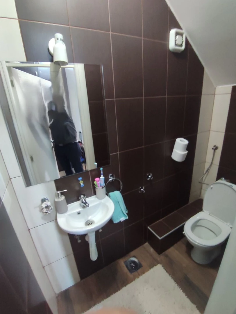 stan na prodaju Novi Sad 120m2 566886
