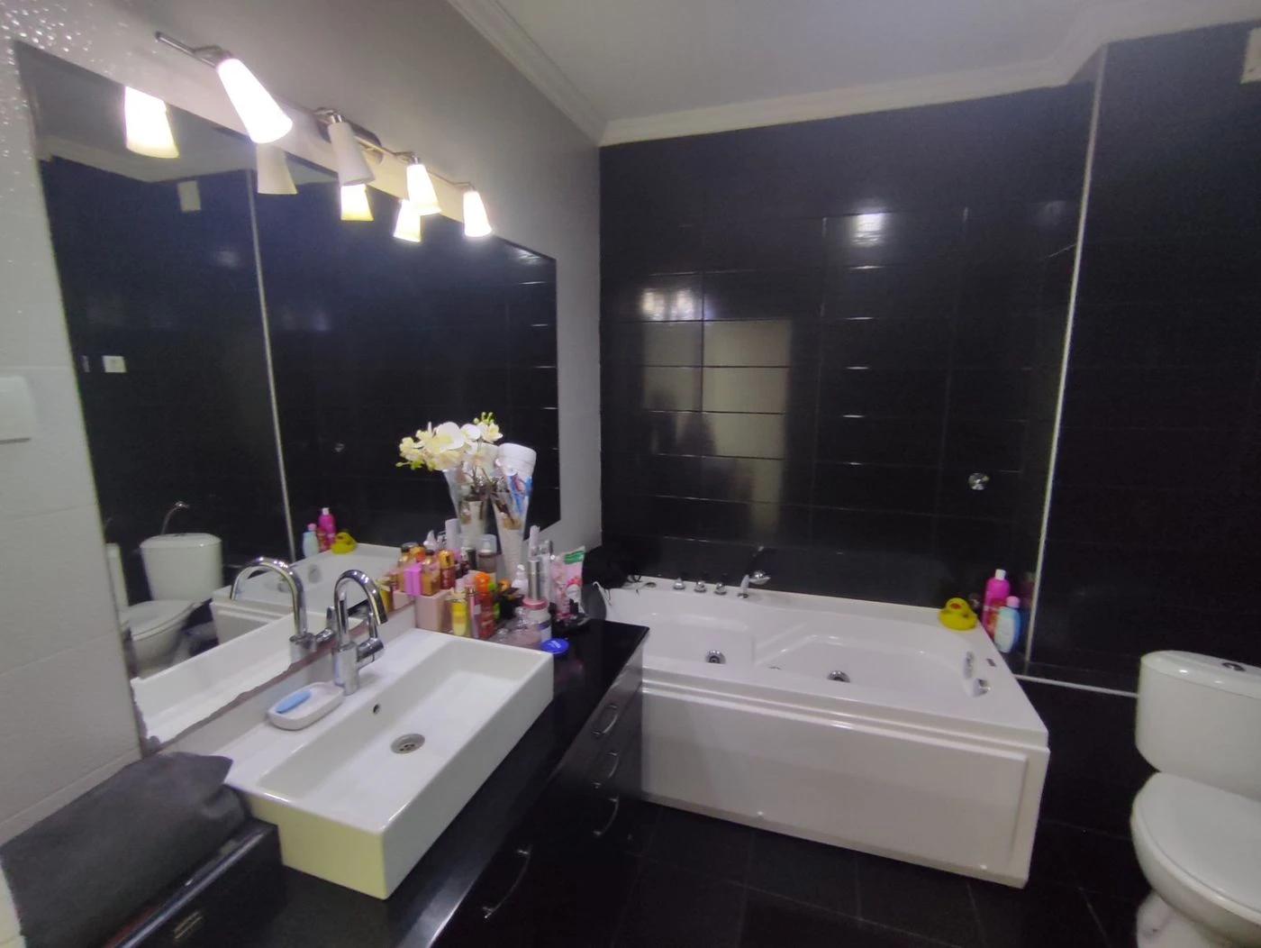 stan na prodaju Novi Sad 120m2 566886