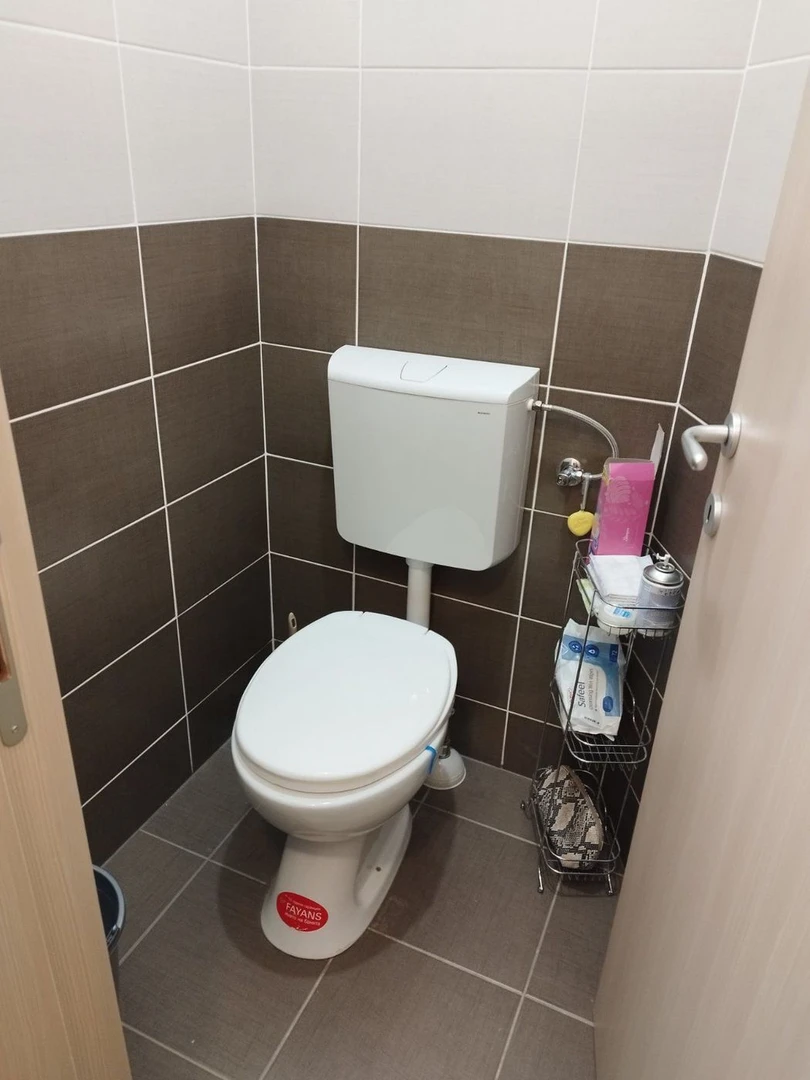 lokal na prodaju Novi Sad 119m2 537477