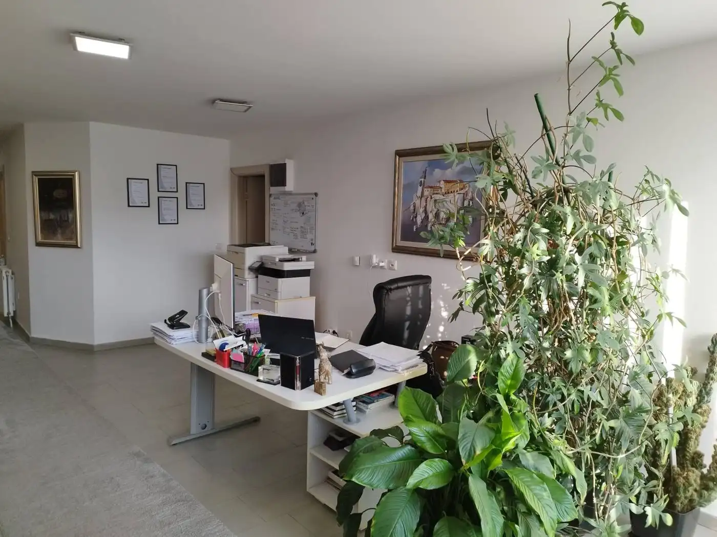 lokal na prodaju Novi Sad 119m2 537477