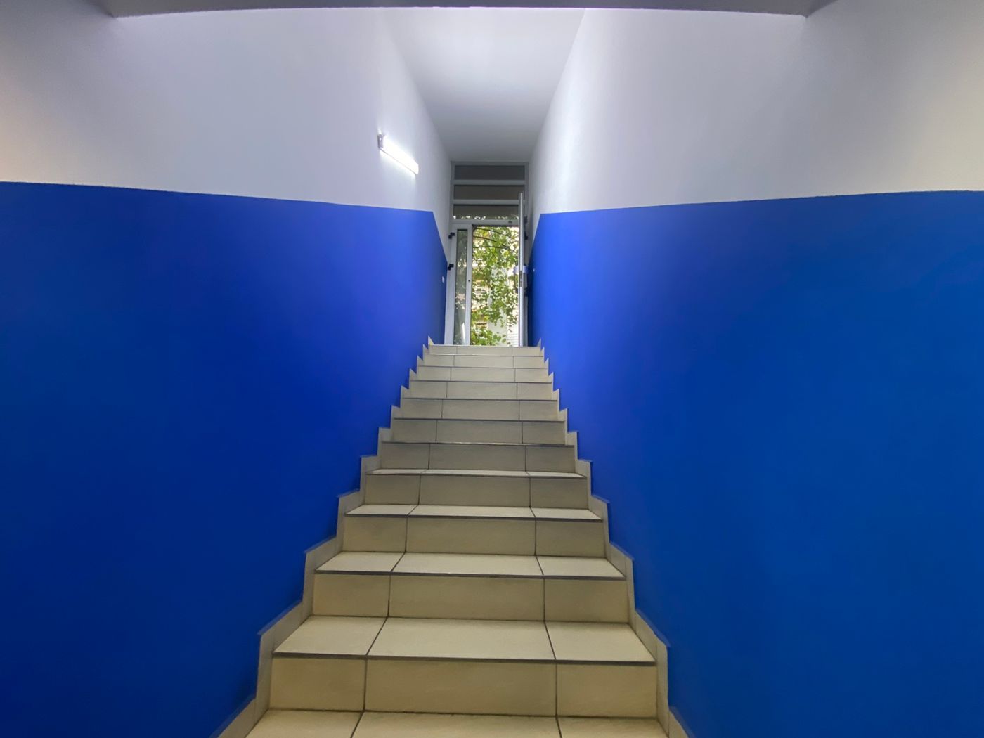 lokal na prodaju Novi Sad 155m2 537088