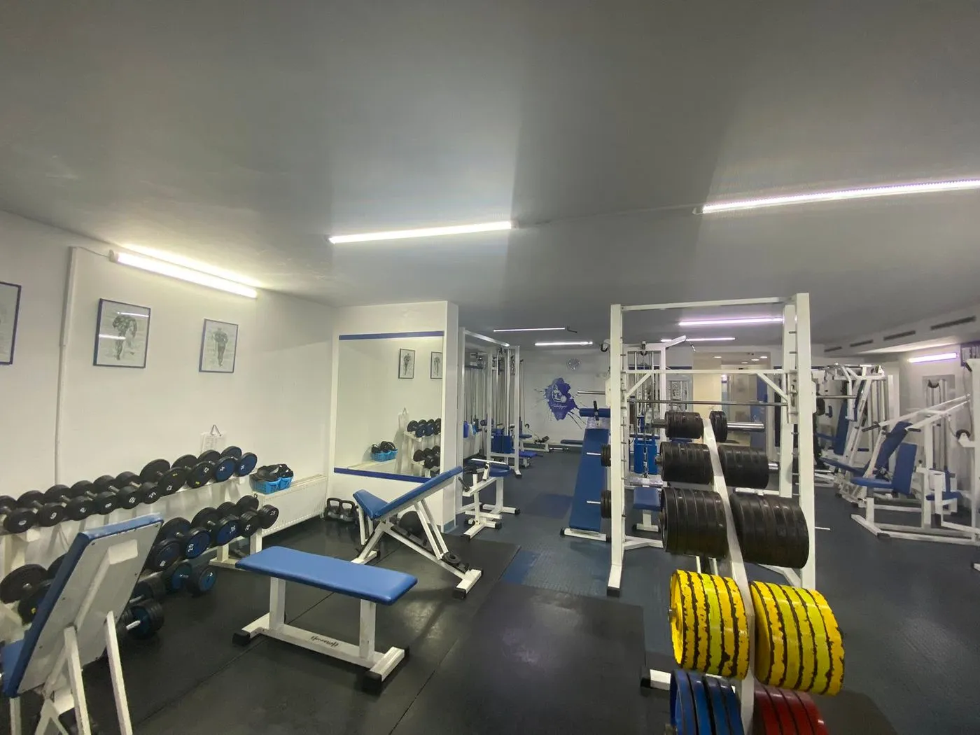 lokal na prodaju Novi Sad 155m2 537088