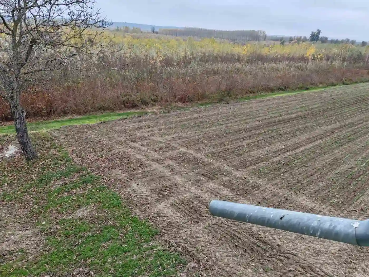 kuca na prodaju Kovilj 50m2 538005