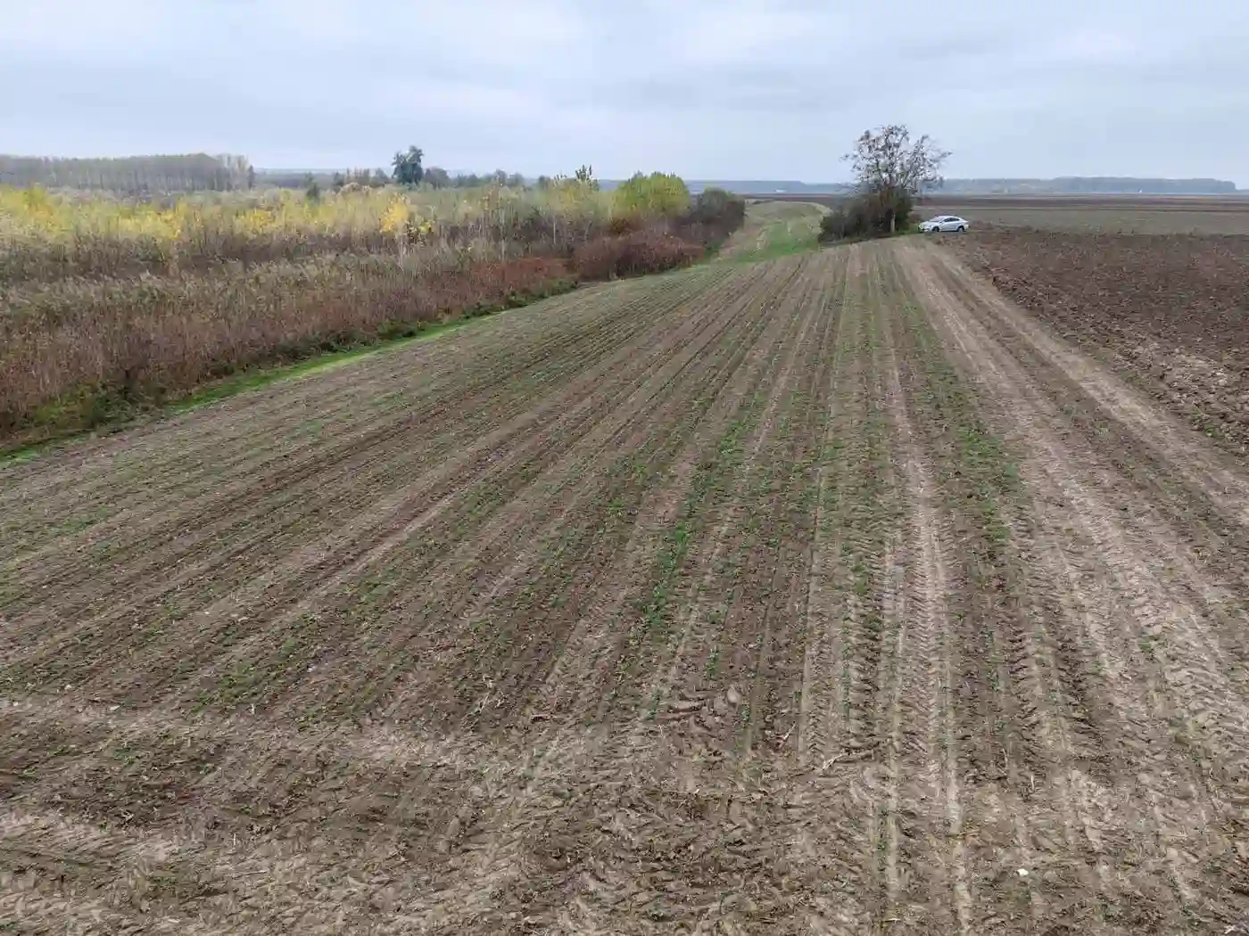 kuca na prodaju Kovilj 50m2 538005
