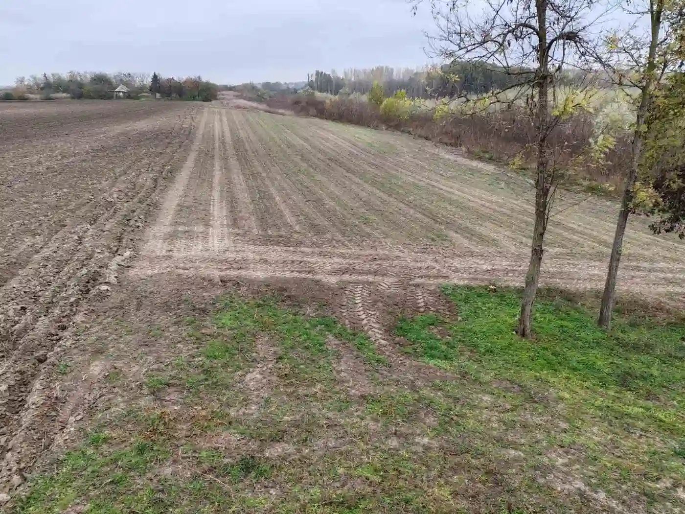kuca na prodaju Kovilj 50m2 538005