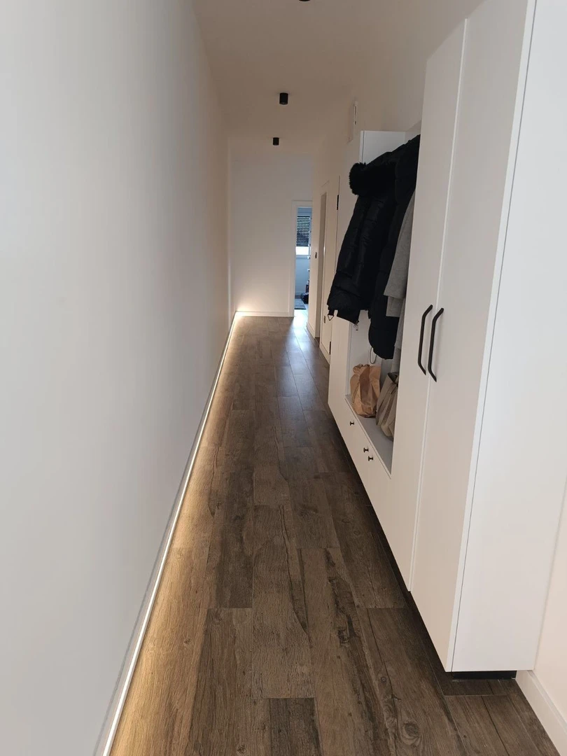 stan na prodaju Novi Sad 87m2 538041