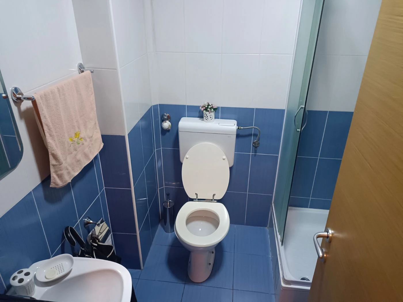 stan za izdavanje Novi Sad 26m2 12314