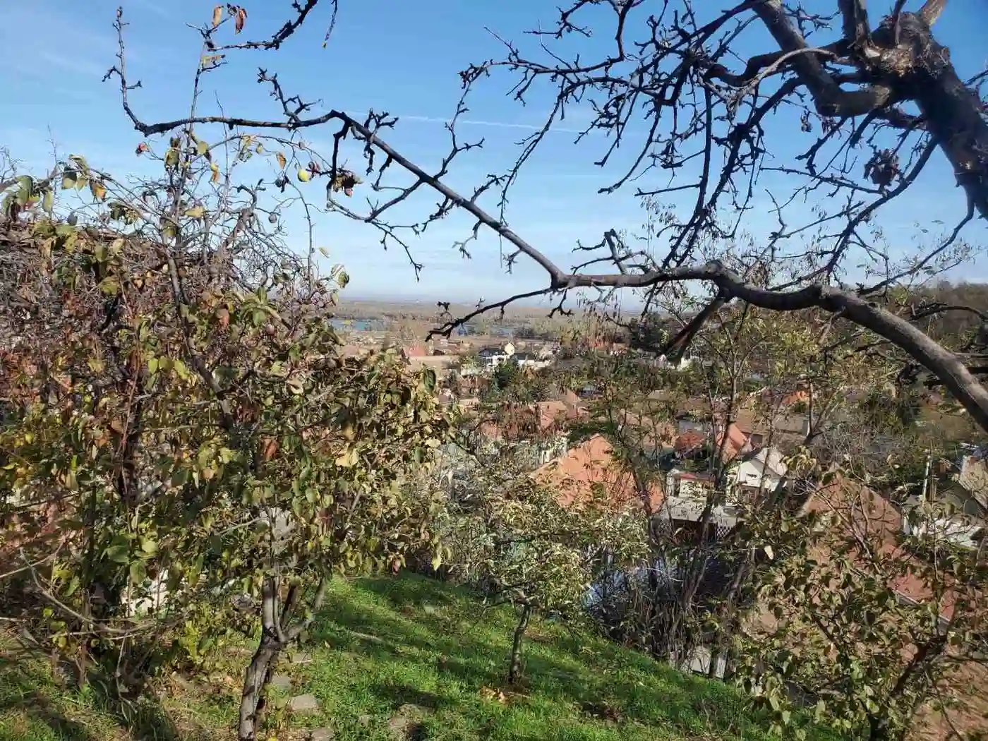 kuca na prodaju Sremski Karlovci 55m2 538501