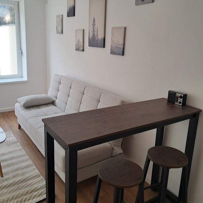 stan na prodaju Petrovaradin, 31m2 12370