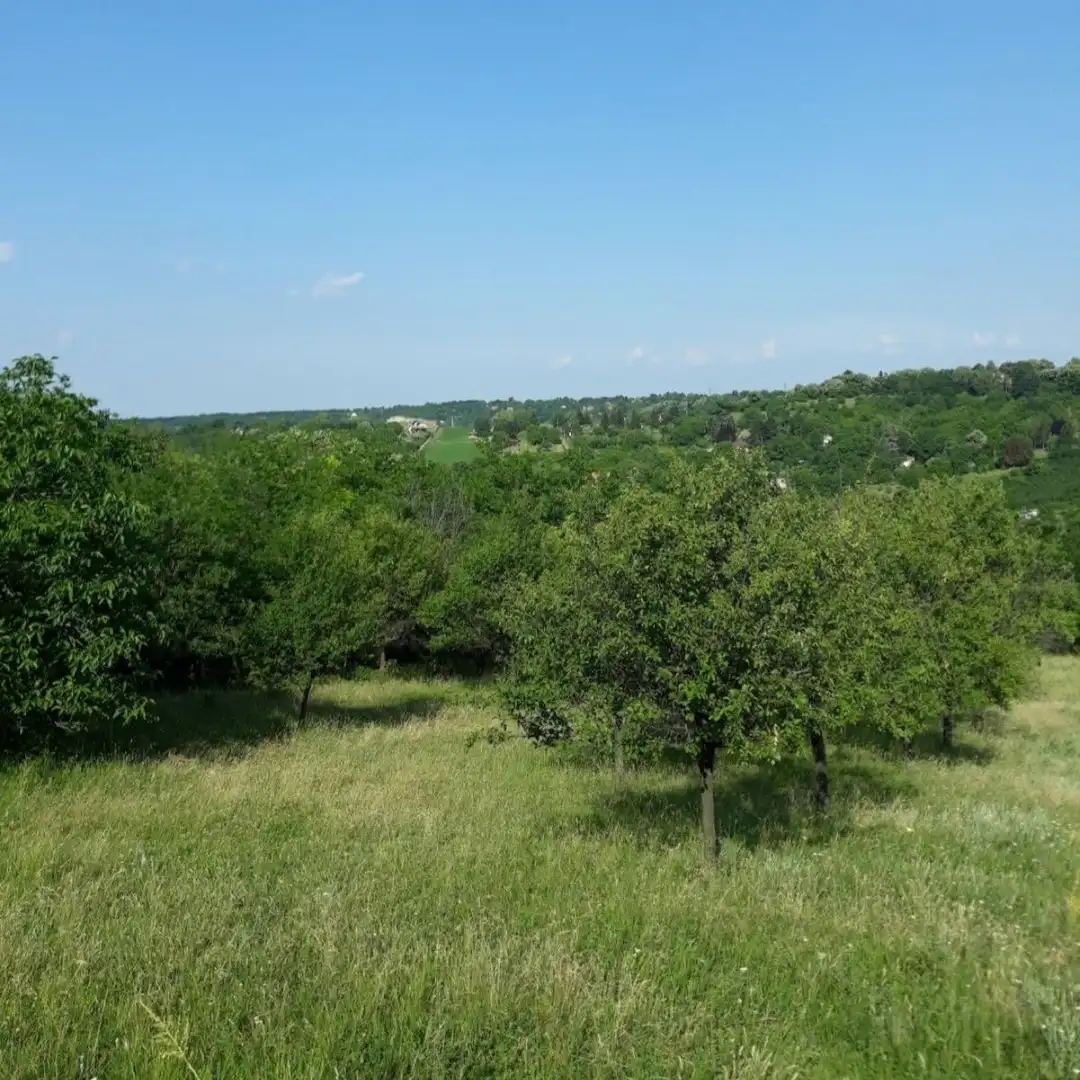 plac na prodaju Sremski Karlovci, 2452m2 539599