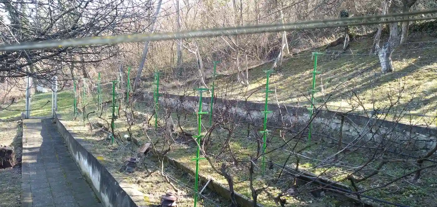 kuca na prodaju Rakovac 171m2 540170