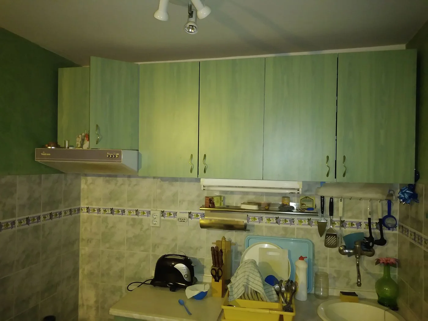 kuca na prodaju Rakovac 171m2 540170