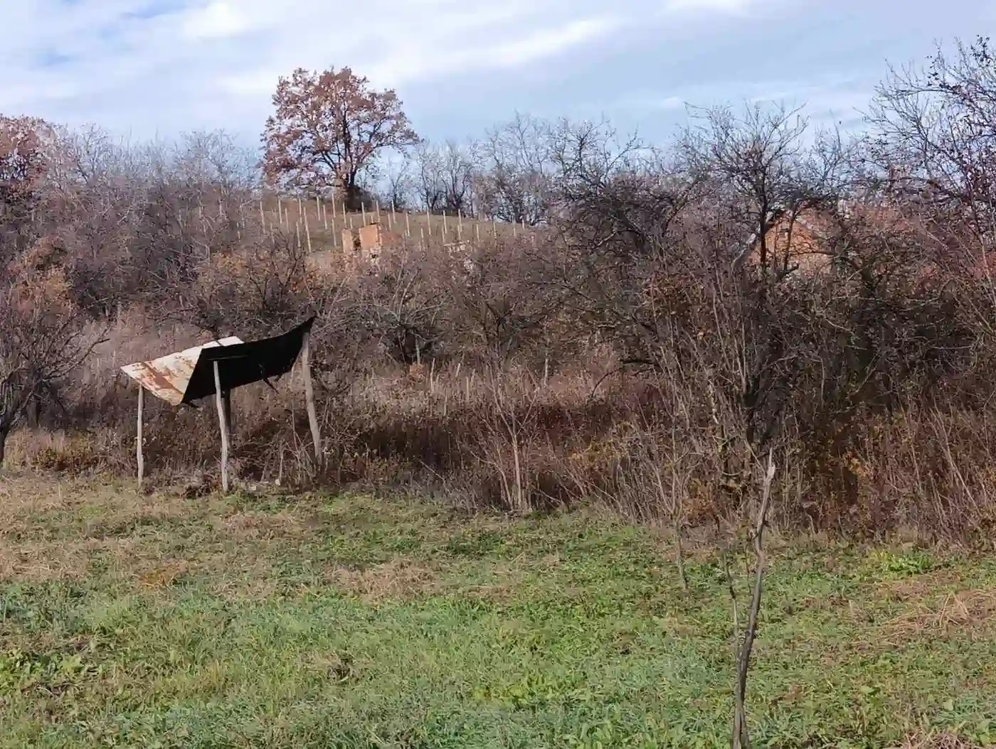 plac na prodaju Sremski Karlovci, 3333m2 540462