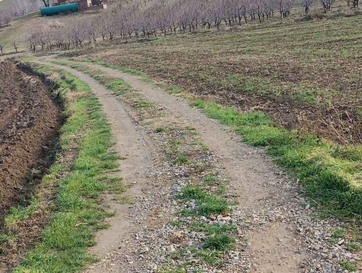 plac na prodaju Sremski Karlovci 32234m2 540465