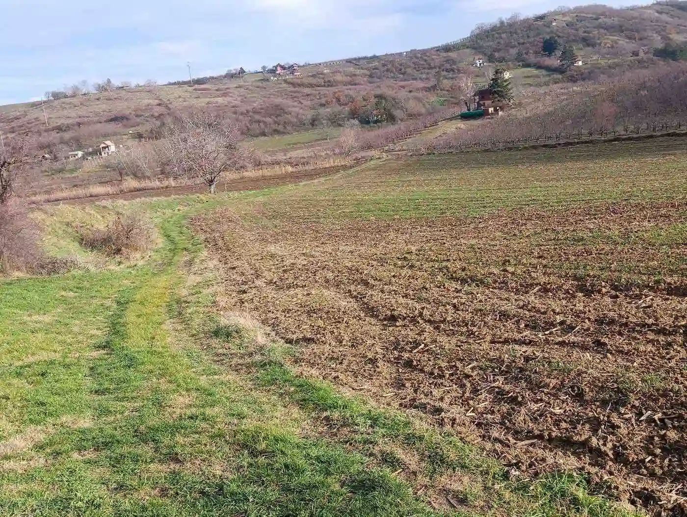 plac na prodaju Sremski Karlovci 32234m2 540465