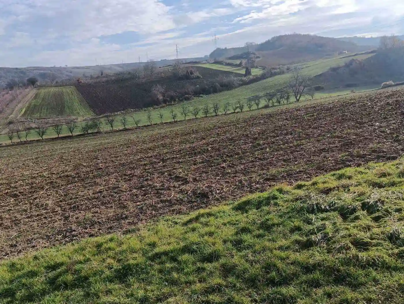 plac na prodaju Sremski Karlovci, 32234m2 540465