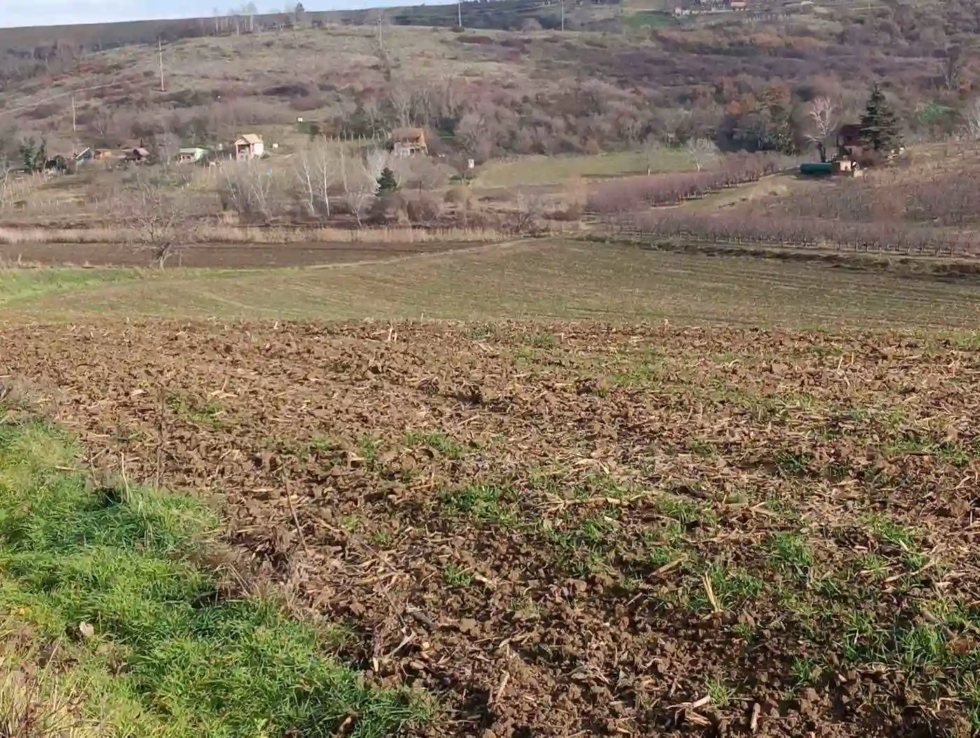 plac na prodaju Sremski Karlovci 32234m2 540465