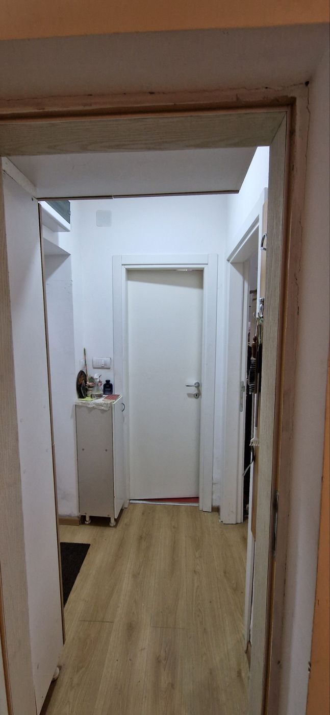 Stan na prodaju Veternik 29m2, 540721