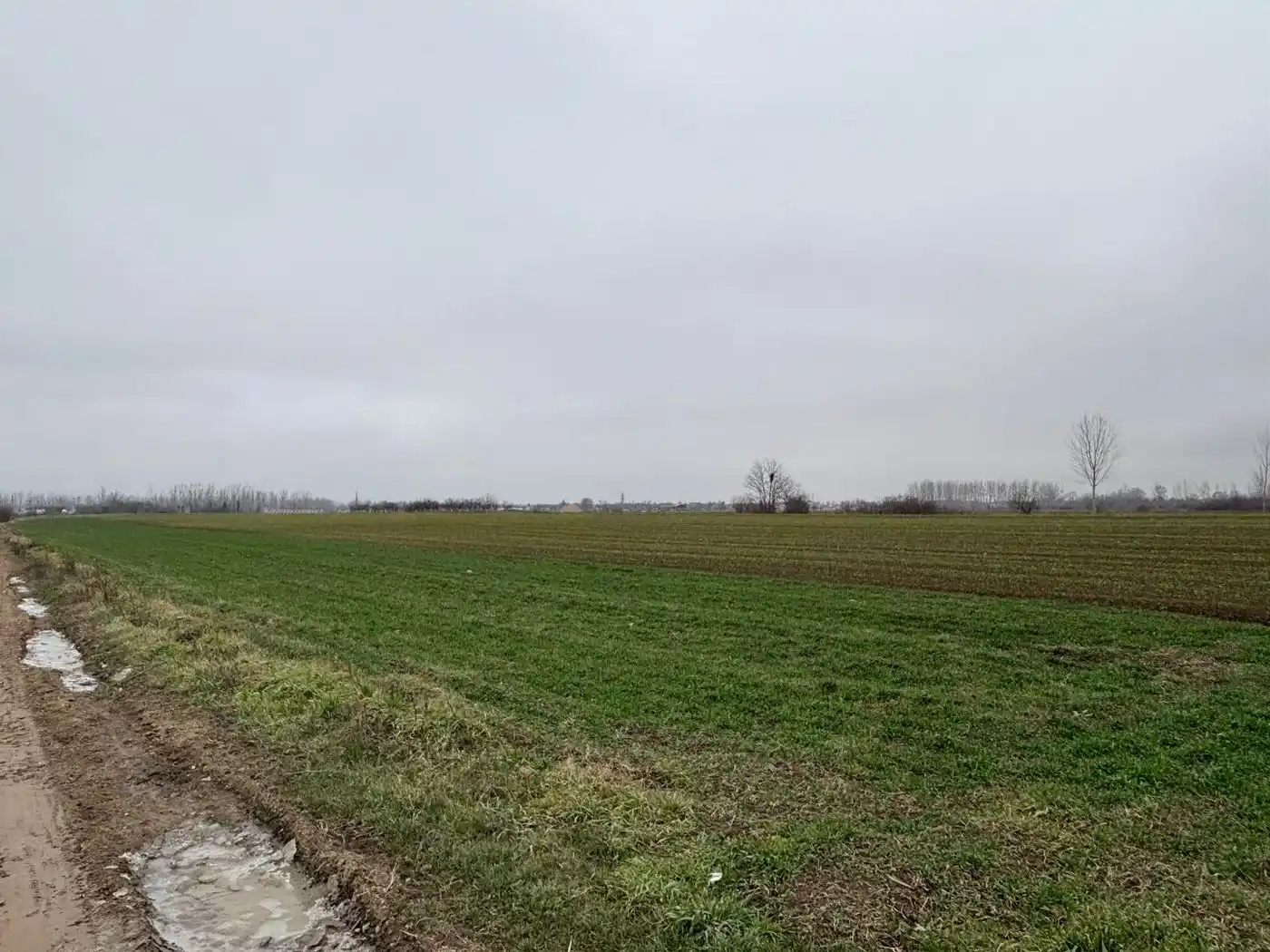 plac na prodaju Veternik 2875m2 540871