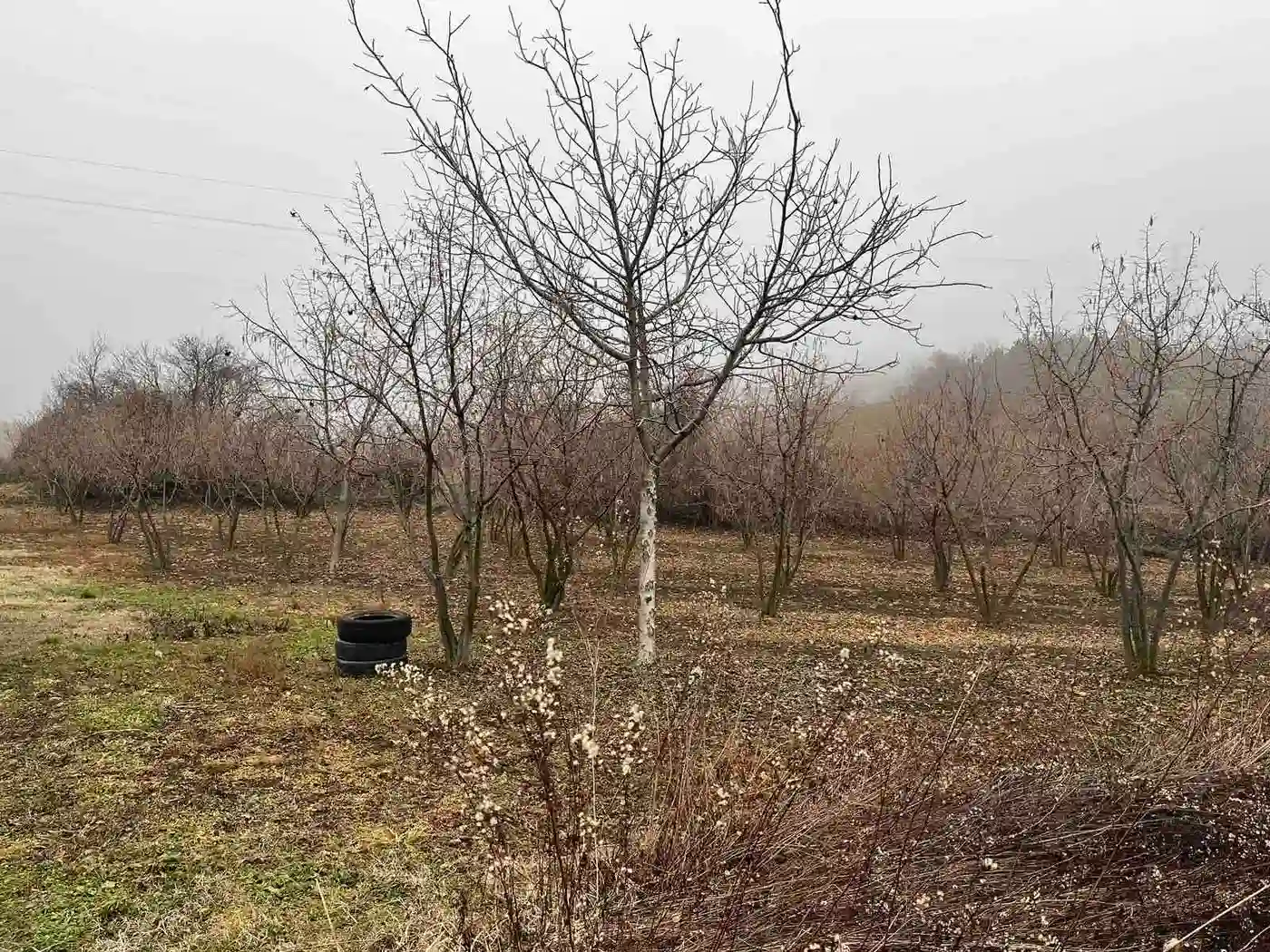 Plac na prodaju Petrovaradin 9350m2, 541457