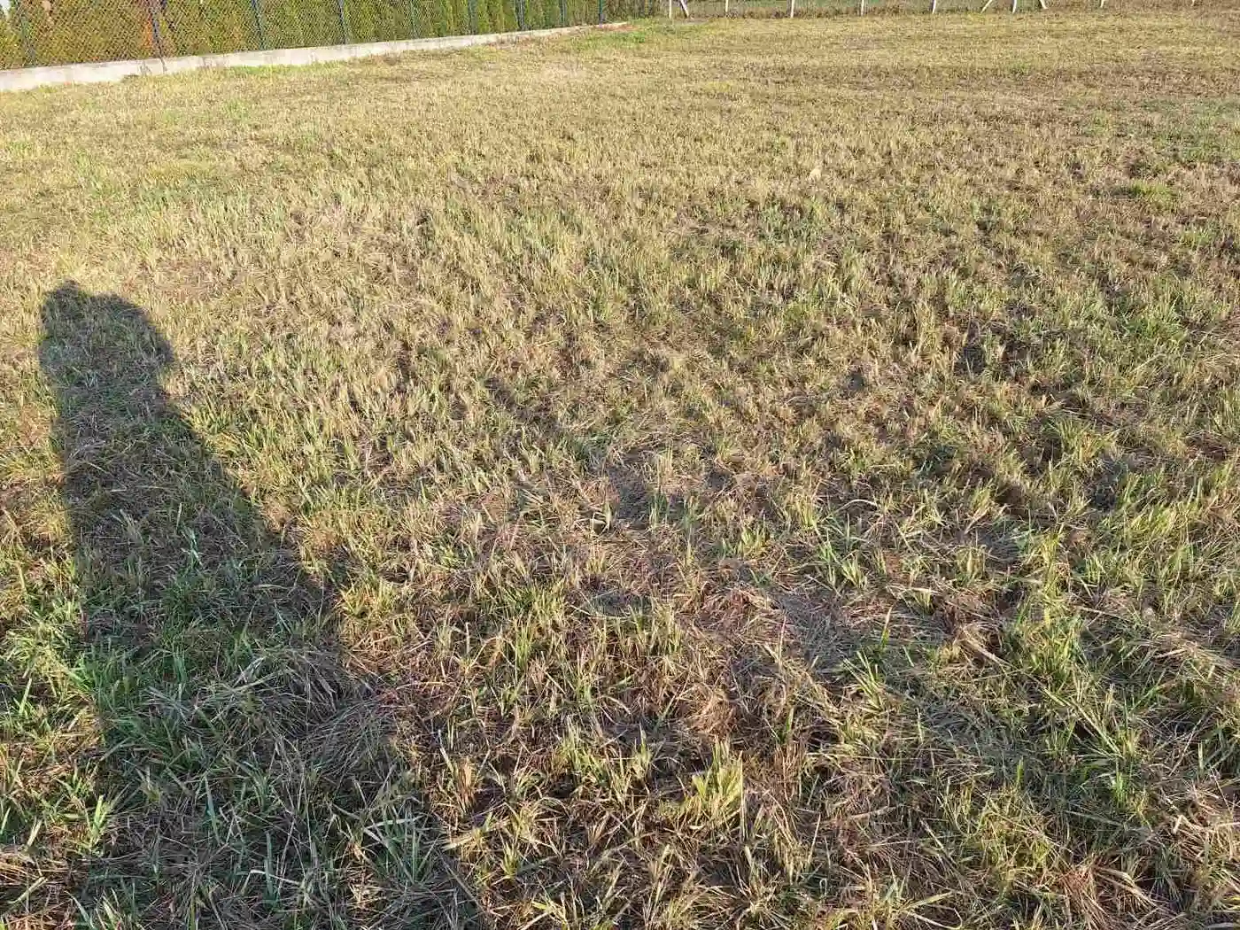 plac na prodaju Veternik 704m2 541659