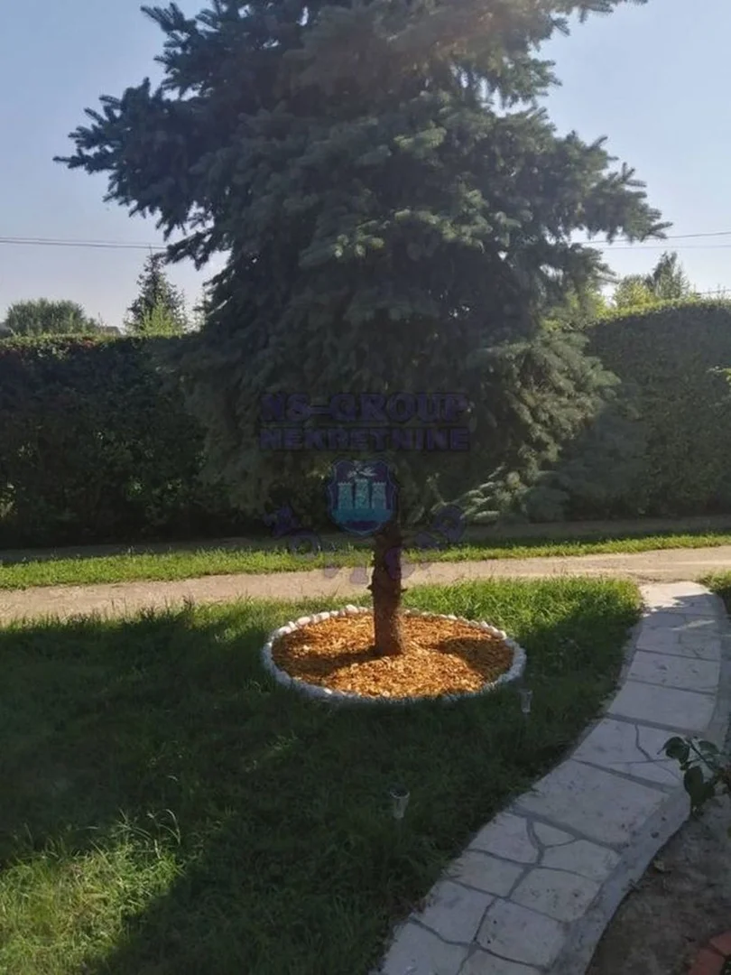 kuca na prodaju Novi Sad 332m2 564062