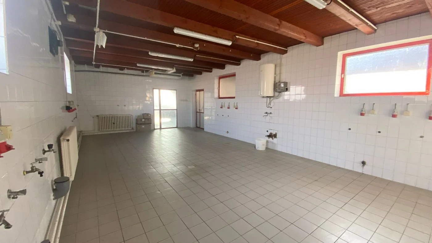 kuca na prodaju Ravno Selo 441m2 541893