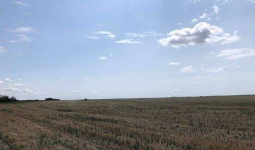 plac na prodaju Futog, 1939m2 541800