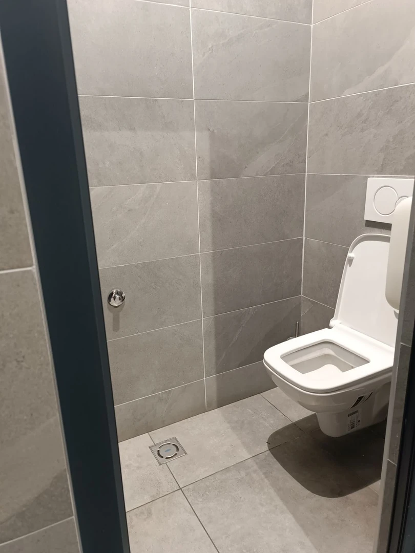 lokal za izdavanje Novi Sad 80m2 12724