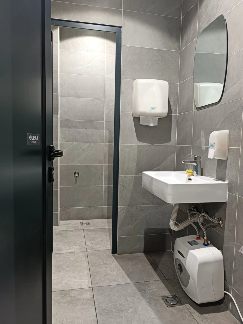 lokal za izdavanje Novi Sad 80m2 12724