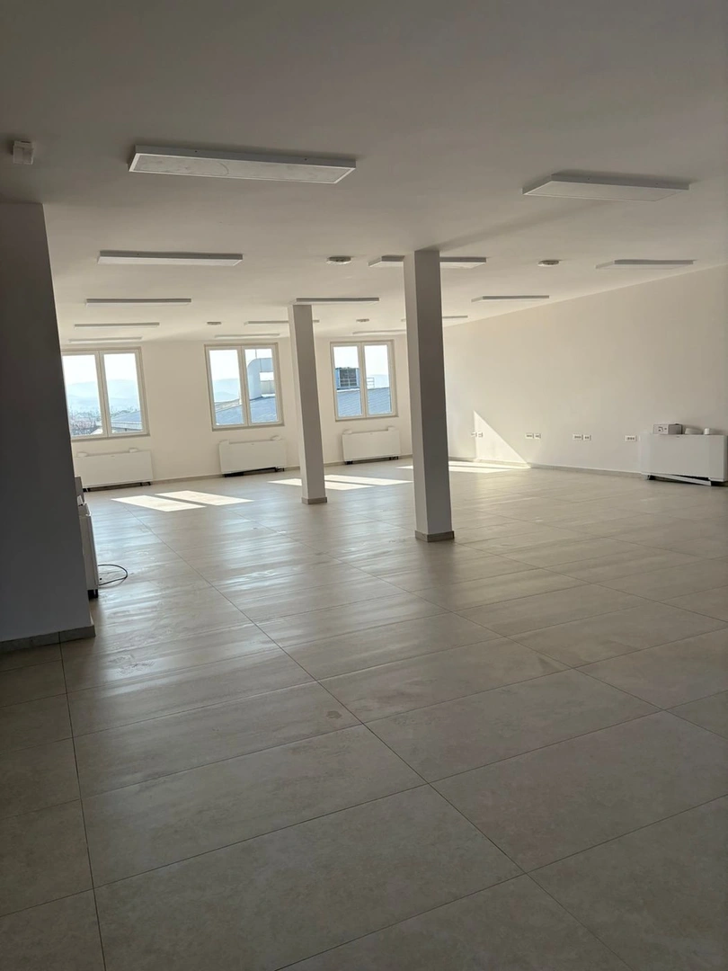 lokal za izdavanje Veternik, 250m2 12063