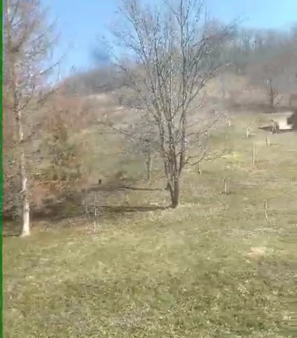 plac na prodaju Sremska Kamenica, 1088m2 543027