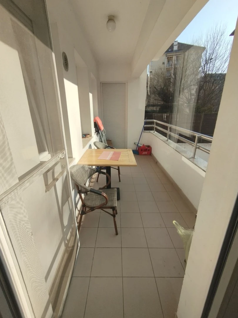 stan na prodaju Novi Sad 77m2 543055