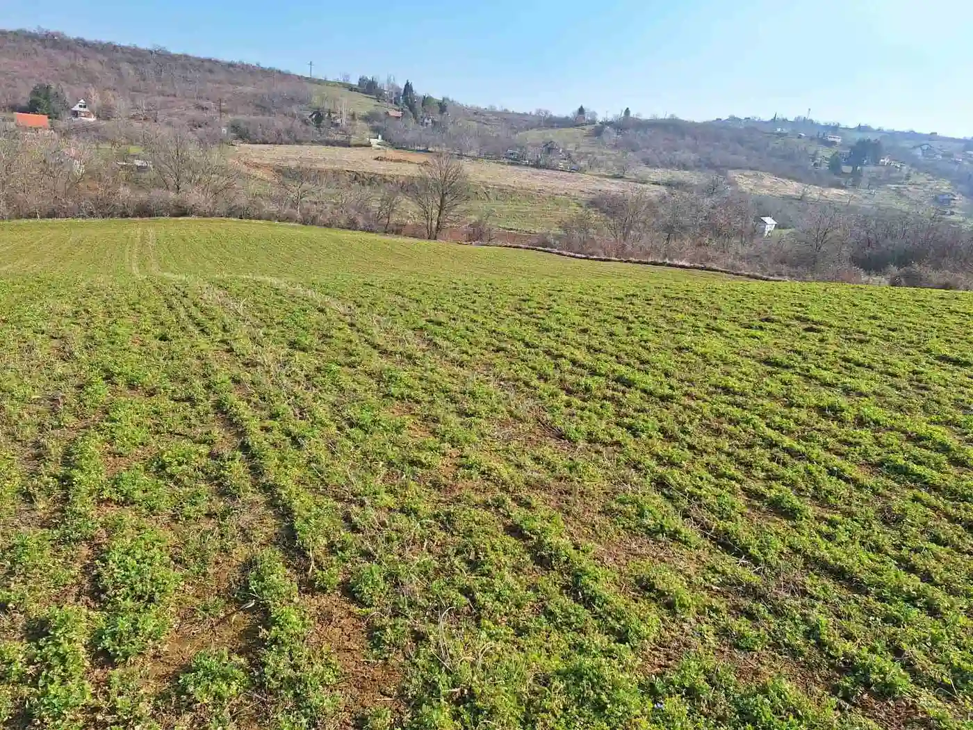 plac na prodaju Čerević, 9853m2 532170