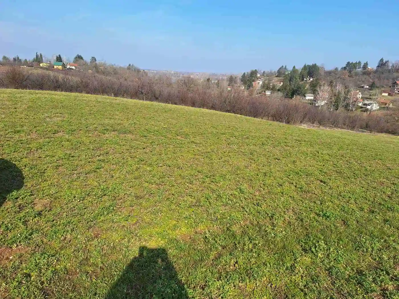 plac na prodaju Čerević 9853m2 532170