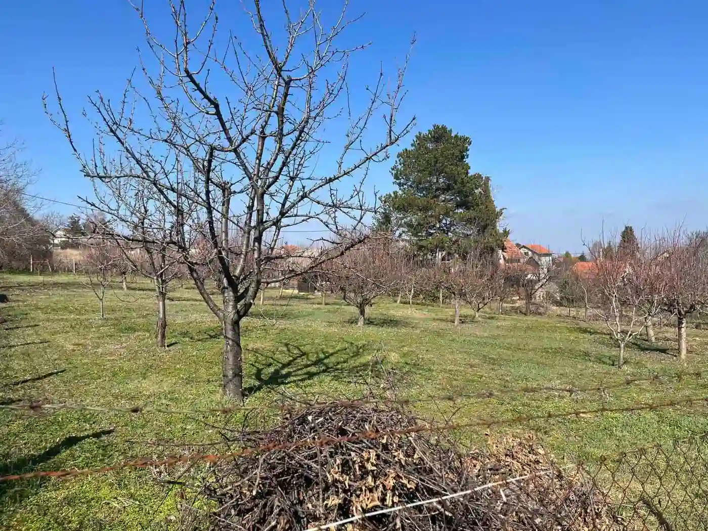 plac na prodaju Petrovaradin 1656m2 543666