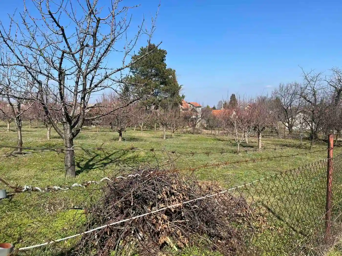 plac na prodaju Petrovaradin, 1656m2 543666