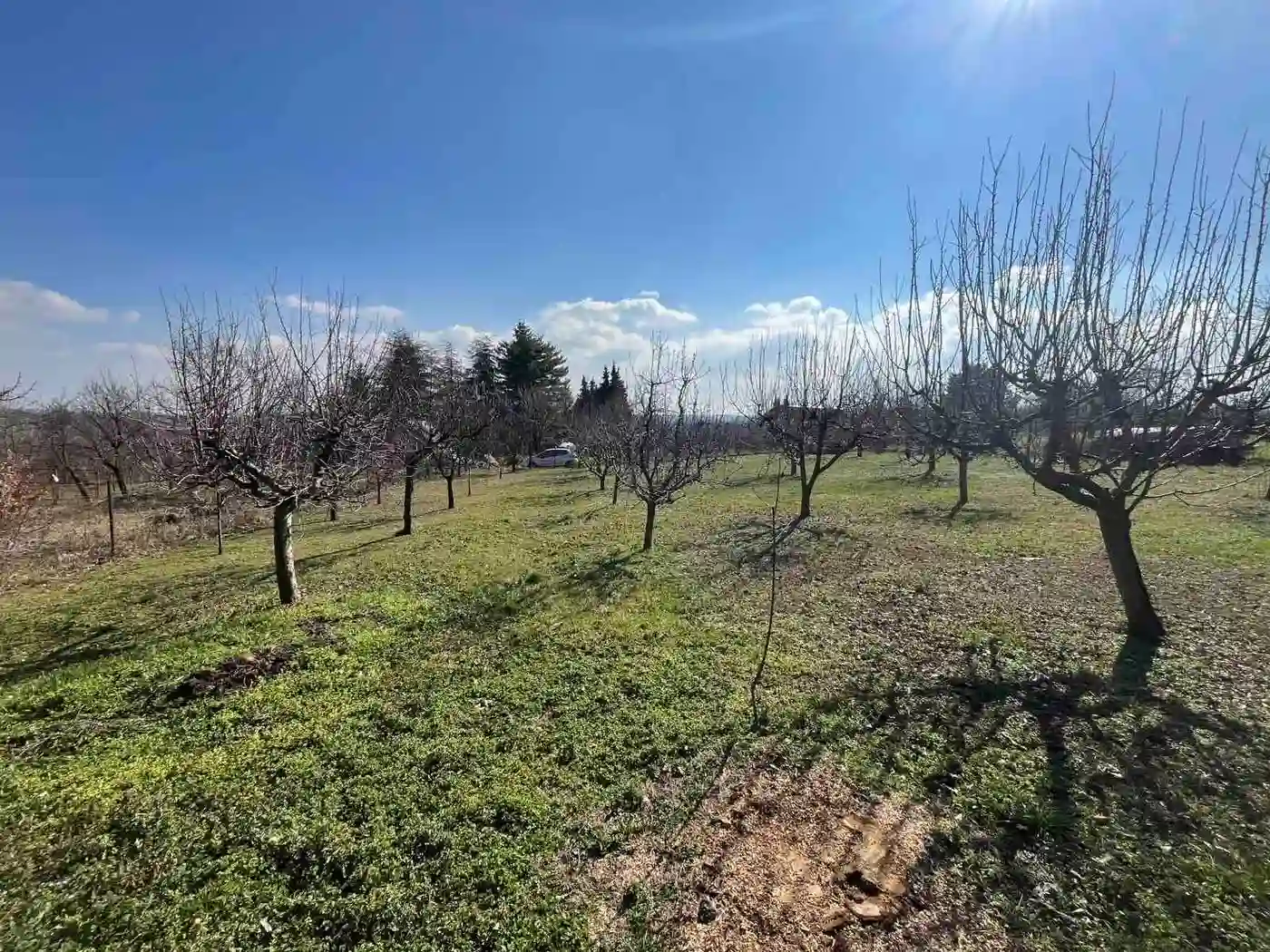 plac na prodaju Petrovaradin 1656m2 543666