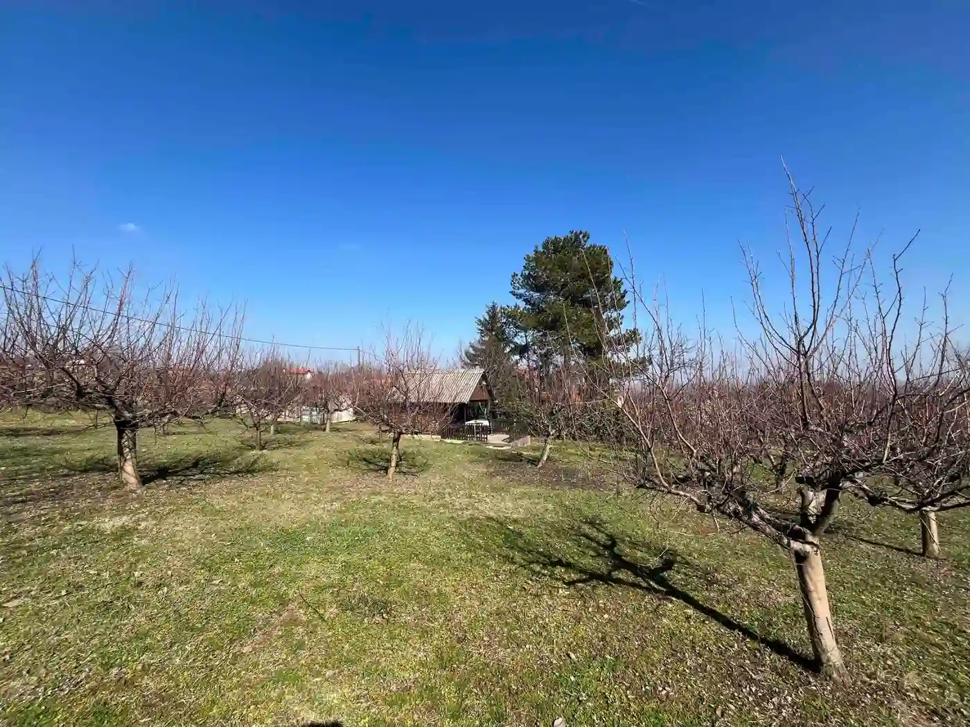 plac na prodaju Petrovaradin 1656m2 543666