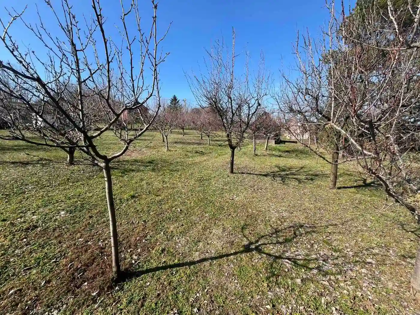 plac na prodaju Petrovaradin 1656m2 543666