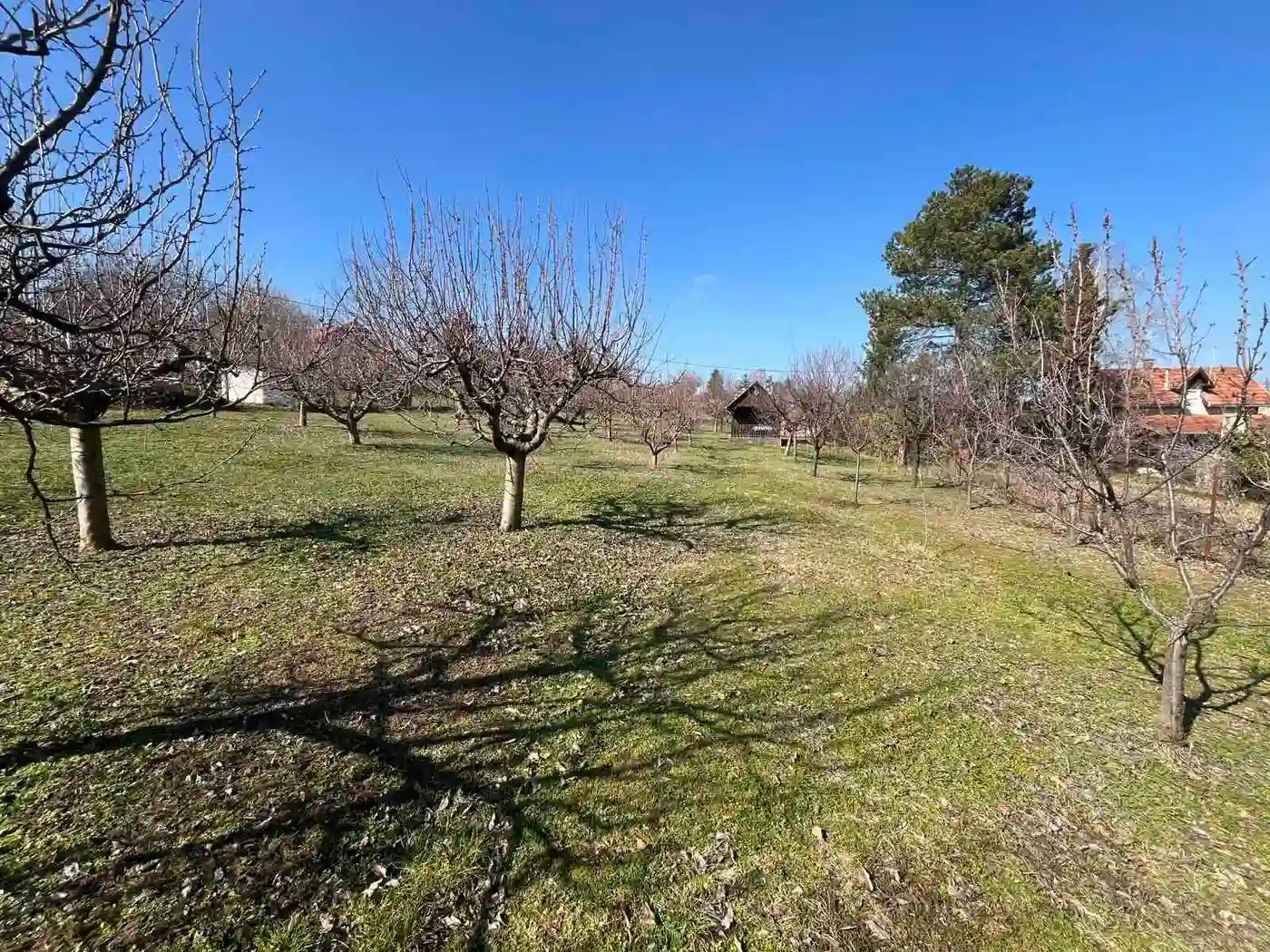 plac na prodaju Petrovaradin 1656m2 543666