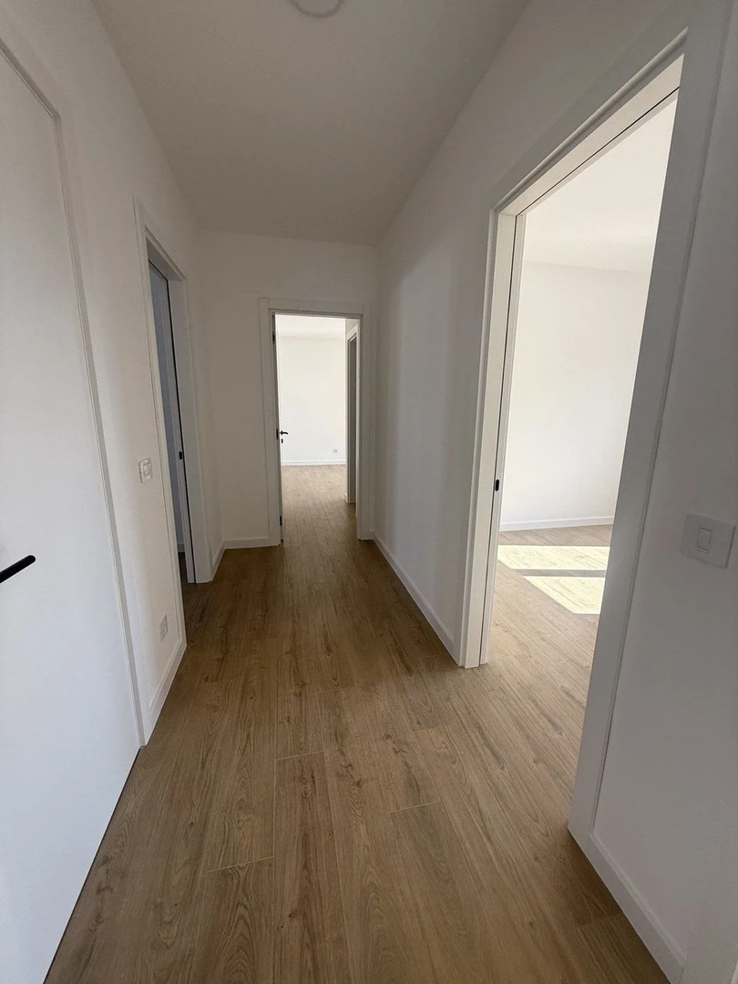 stan na prodaju Novi Sad 140m2 479054