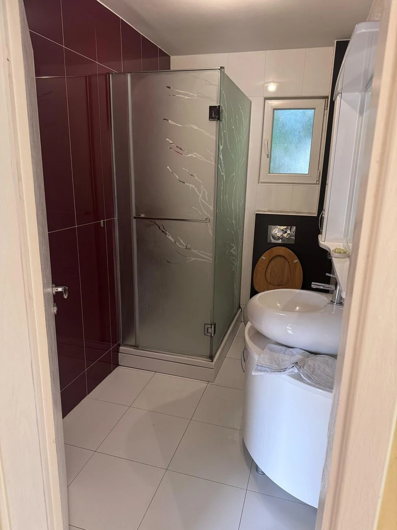 Kuća za izdavanje Novi Sad 173m2, 12919