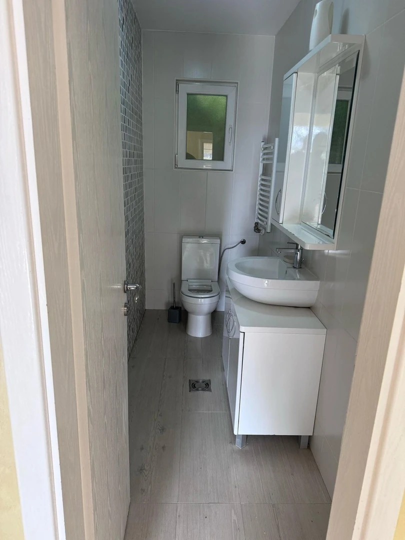 Kuća za izdavanje Novi Sad 173m2, 12919