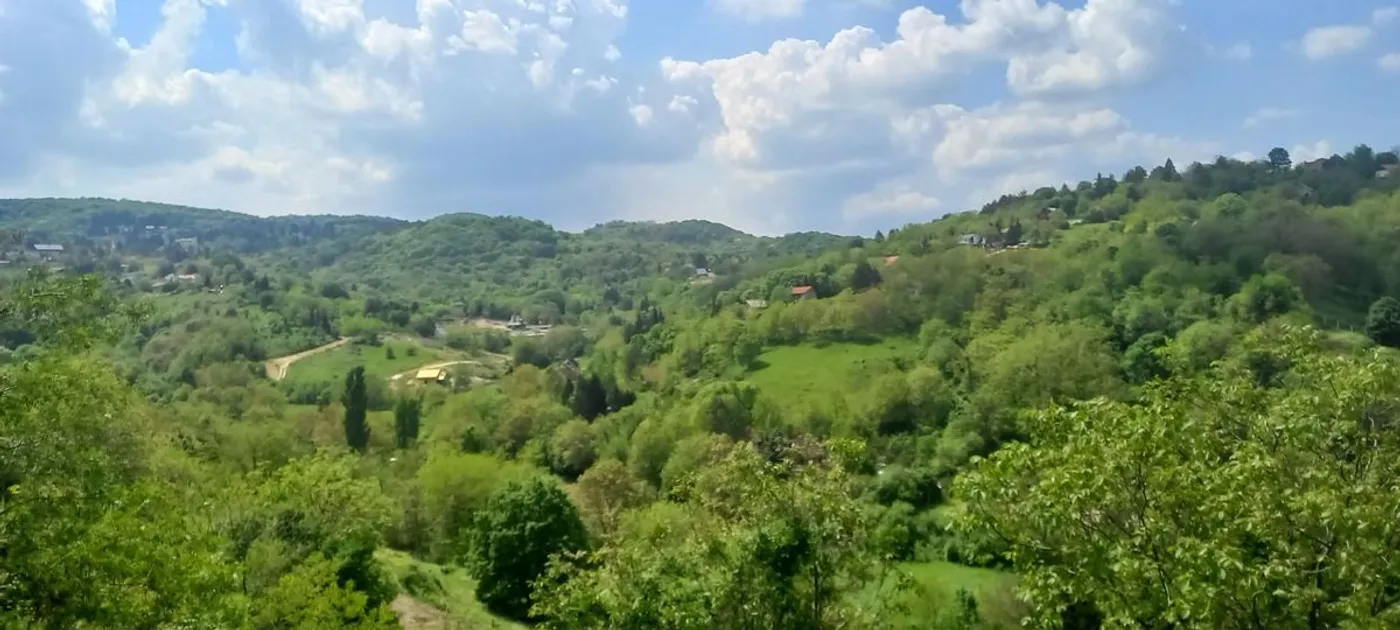 plac na prodaju Sremska Kamenica, 703m2 541020