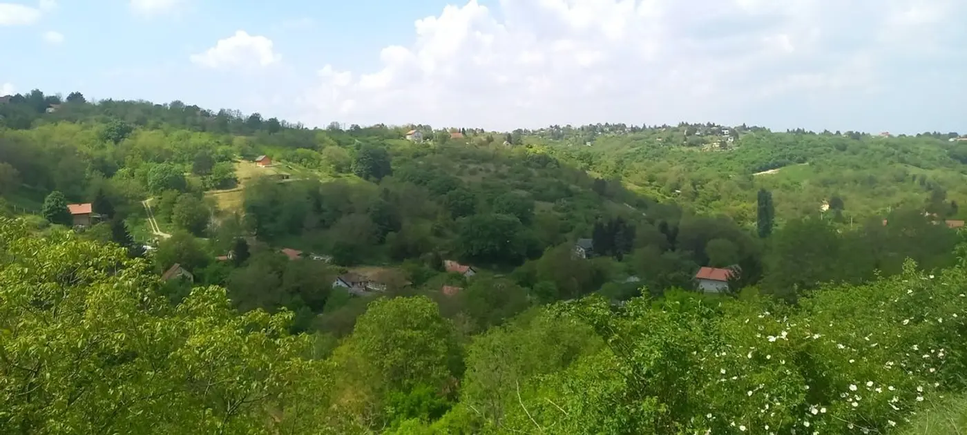 plac na prodaju Sremska Kamenica, 647m2 540994