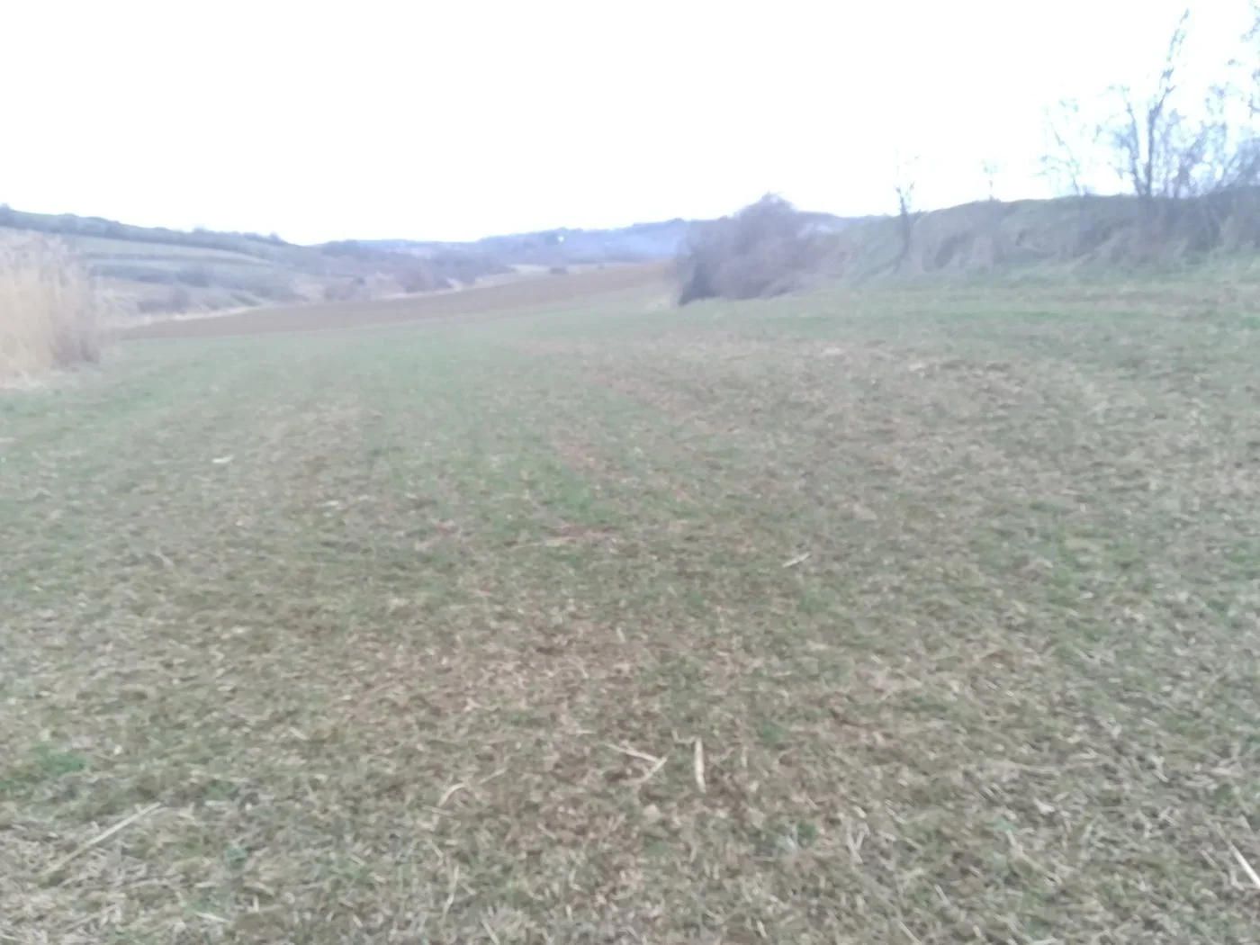 plac na prodaju Novi Slankamen 2978m2 543963